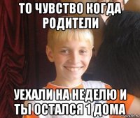 то чувство когда родители уехали на неделю и ты остался 1 дома