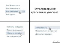 Бультерьеры не красивые и ужасные.