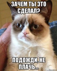 зачем ты это сделал? подожди, не плачь...