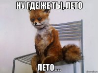 ну где же ты, лето лето....