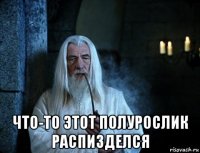  что-то этот полурослик распизделся
