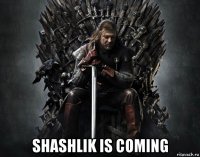  shashlik is coming