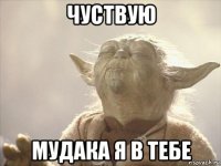 чуствую мудака я в тебе