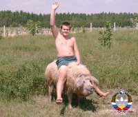 мин що за овцесвин? , Мем Рыцарь