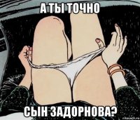 а ты точно сын задорнова?