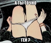 а ты точно гей ?