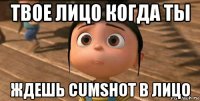 твое лицо когда ты ждешь cumshot в лицо