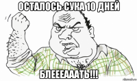 осталось сука 10 дней блеееааать!!!