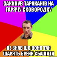 закинув тараканів на гарячу сковородку не знав шо вони так шарять брейк єбашити