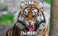 бема ты моя!)