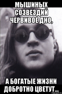 мышиных созвездий червивое дно, а богатые жизни добротно цветут...
