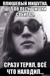 плюшевый мишутка, шёл по лесу, шишки собирал, сразу терял, всё что находил...