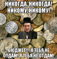 никогда, никогда! никому, никому! бюджет!!! я тебя не отдам! я тебя не отдам!