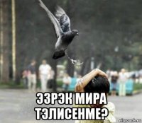  эзрэк мира тэлисенме?