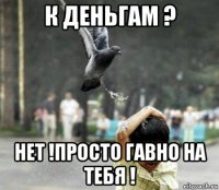 к деньгам ? нет !просто гавно на тебя !