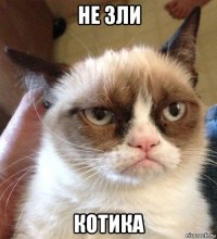 не зли котика