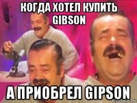 когда хотел купить gibson а приобрел gipson