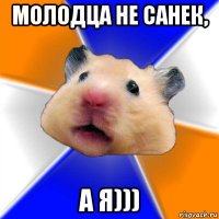 молодца не санек, а я)))