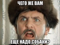 чего же вам еще надо,собаки?