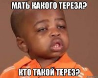 мать какого тереза? кто такой терез?