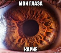 мои глаза карие