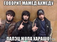 говорит мамед ахмеду палэц жопа харашо!