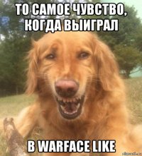 то самое чувство, когда выиграл в warface like