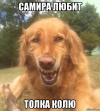 самира любит толка колю