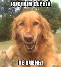 костюм серый не очень!