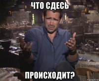 что сдесь происходит?