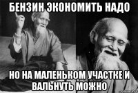бензин экономить надо но на маленьком участке и вальнуть можно