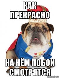 как прекрасно на нём побои смотрятся