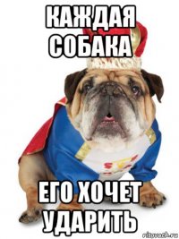 каждая собака его хочет ударить