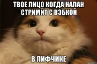 твое лицо когда налан стримит с вэбкой в лифчике