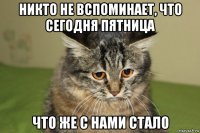 никто не вспоминает, что сегодня пятница что же с нами стало