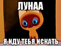 лунаа я иду тебя искать
