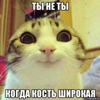 ты не ты когда кость широкая