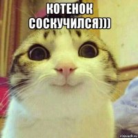 котенок соскучился))) 