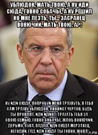 ублюдок, мать твою, а ну иди сюда, говно собачье, а ну решил ко мне лезть, ты... засранец вонючий, мать твою. а?! ну иди сюда, попробуй меня трахнуть, я тебя сам трахну ублюдок, анонист чертов, будь ты проклят, иди идиот, трахать тебя за свою семью, говно собачье, жлоб вонючий, дерьмо, сука, падла, иди сюда мерзавец, негодяй, гад, иди сюда ты говно, жопа!