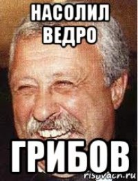 насолил ведро грибов