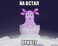 йа встал привет