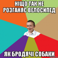 ніщо так не розганяє велосипед як бродячі собаки