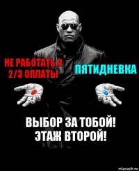 не работать с 2/3 оплаты пятидневка выбор за тобой!
этаж второй!