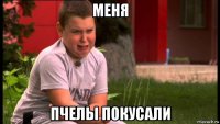 меня пчелы покусали