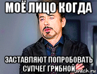 моё лицо когда заставляют попробовать супчег грибной