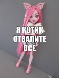 Я котик отвалите все