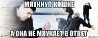 мяукнул кошке а она не мяукает в ответ