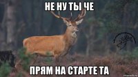 не ну ты че прям на старте та