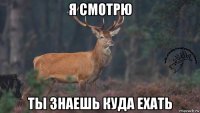 я смотрю ты знаешь куда ехать