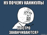 ну почему каникулы быстро заканчиваются?